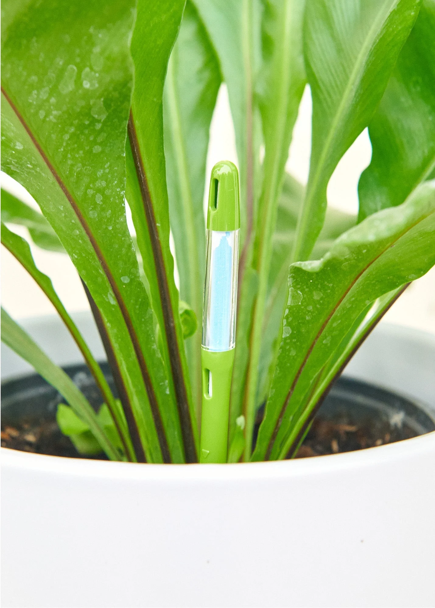 Moisture Meter, Medium - Image 4