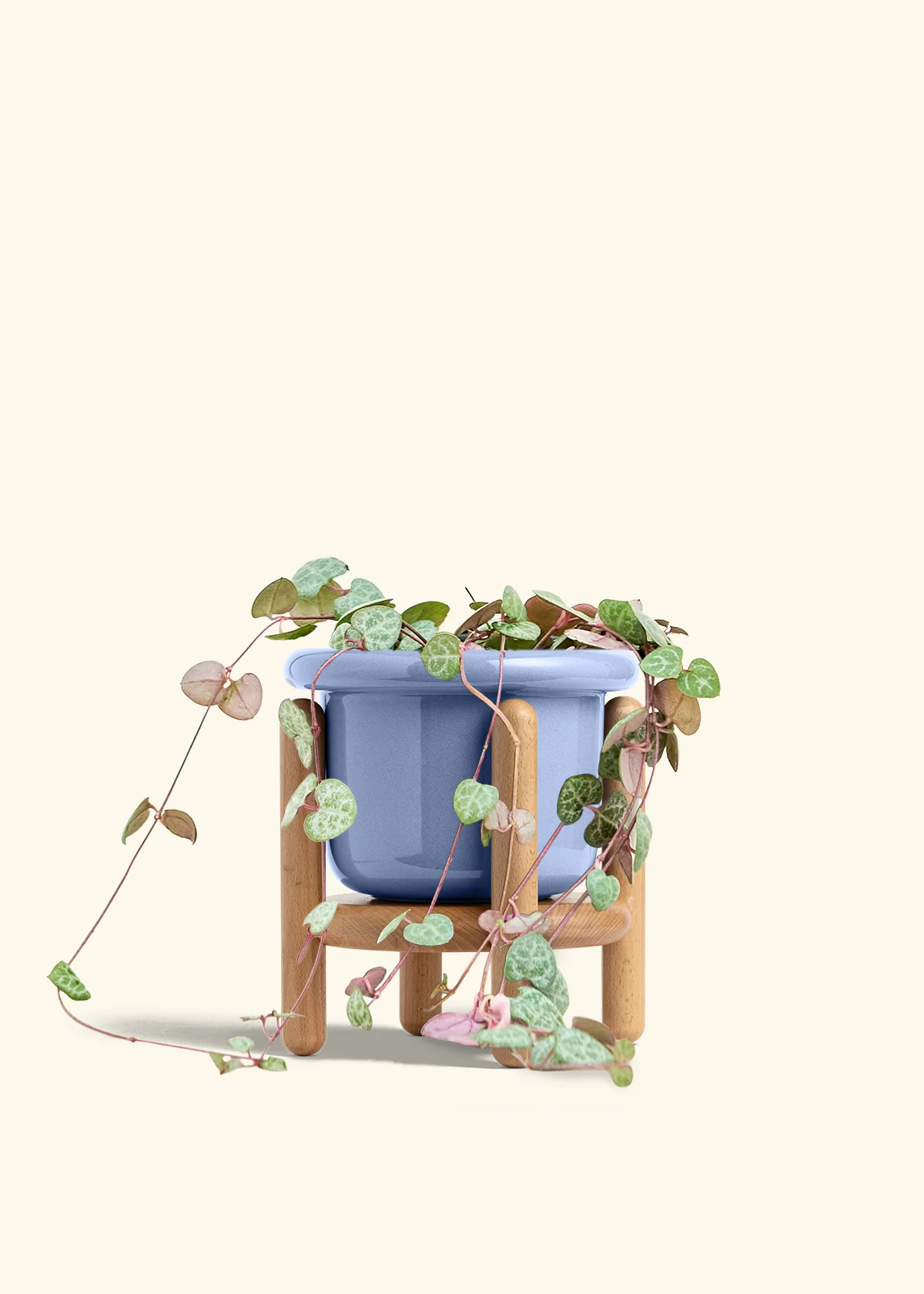 String of Hearts, Medium - Image 11