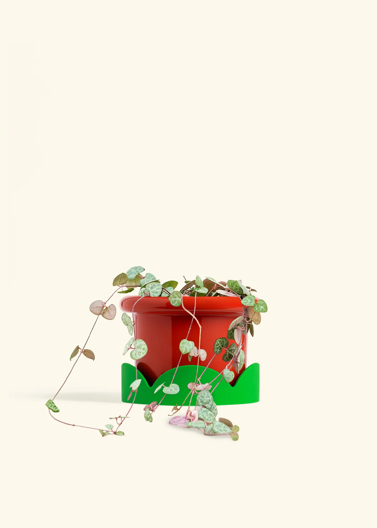 String of Hearts, Medium - Image 13