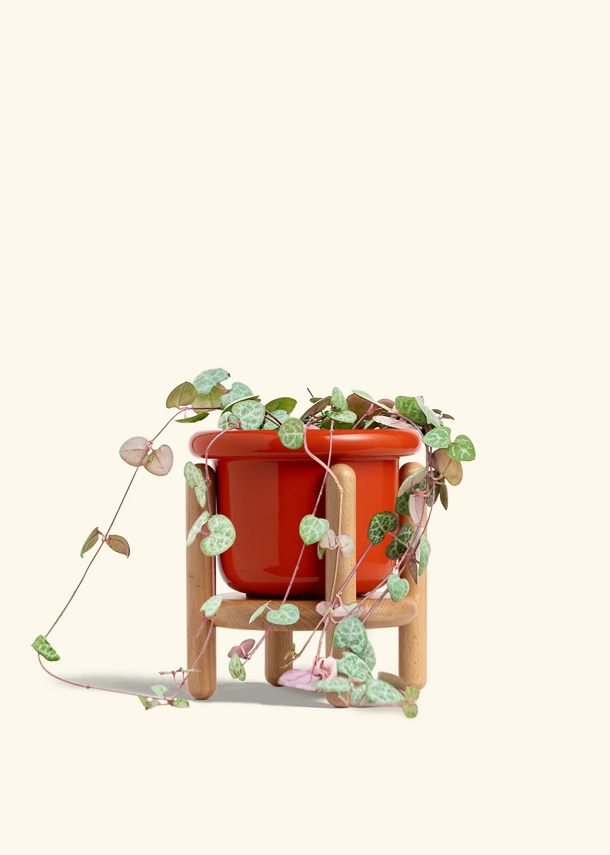 String of Hearts, Medium - Image 15
