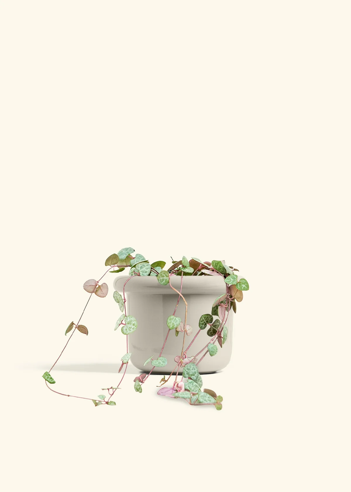 String of Hearts, Medium - Image 16