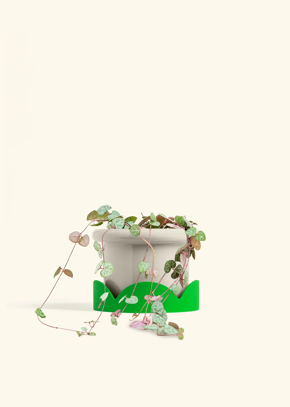 String of Hearts, Medium - Image 17