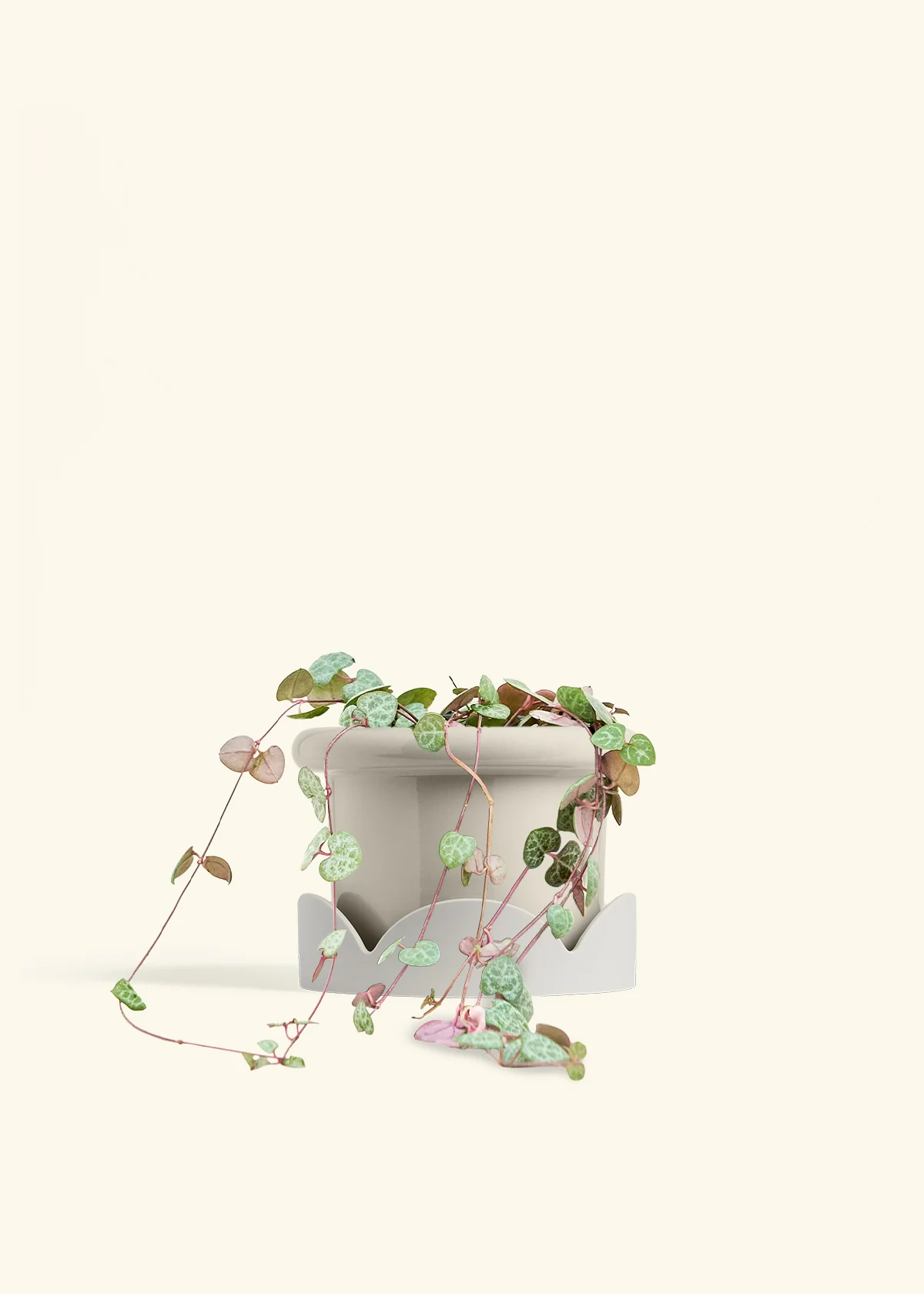 String of Hearts, Medium - Image 18