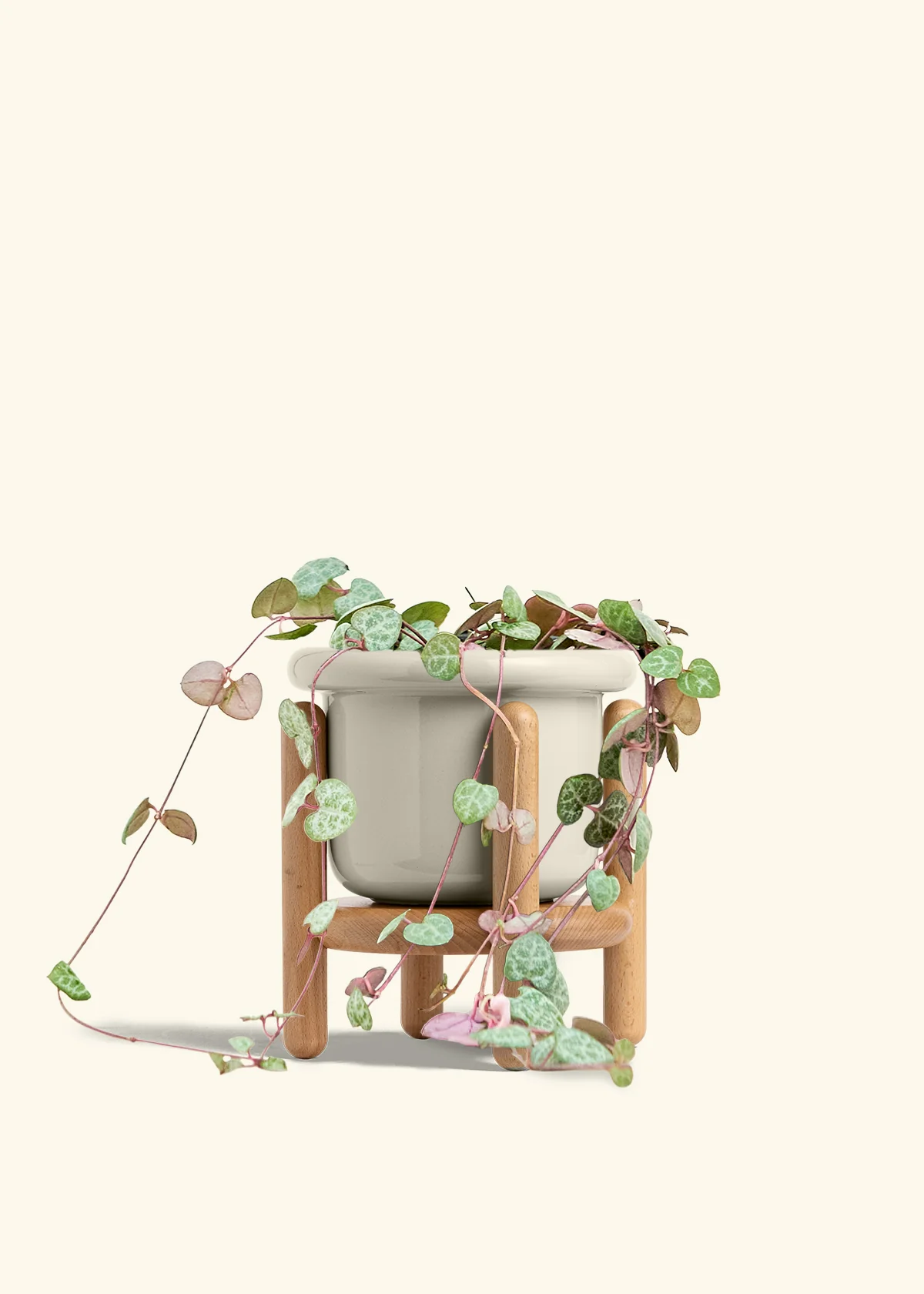 String of Hearts, Medium - Image 19