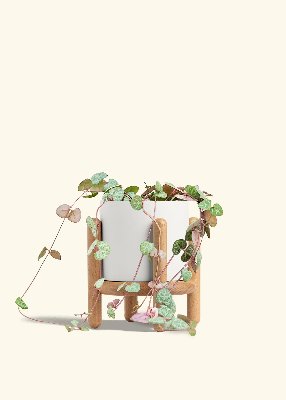 String of Hearts, Medium - Image 23