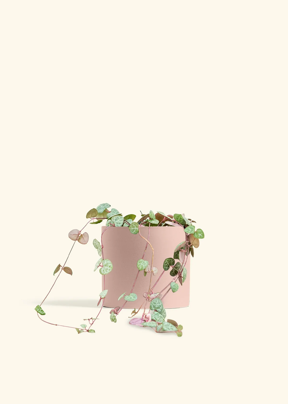String of Hearts, Medium - Image 24