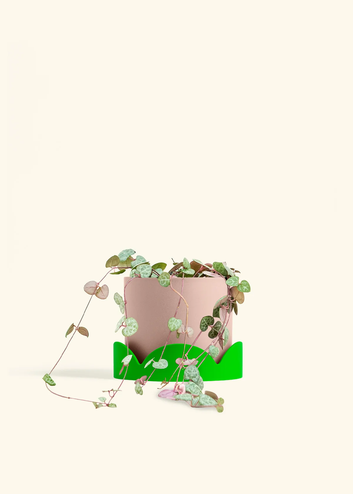 String of Hearts, Medium - Image 25