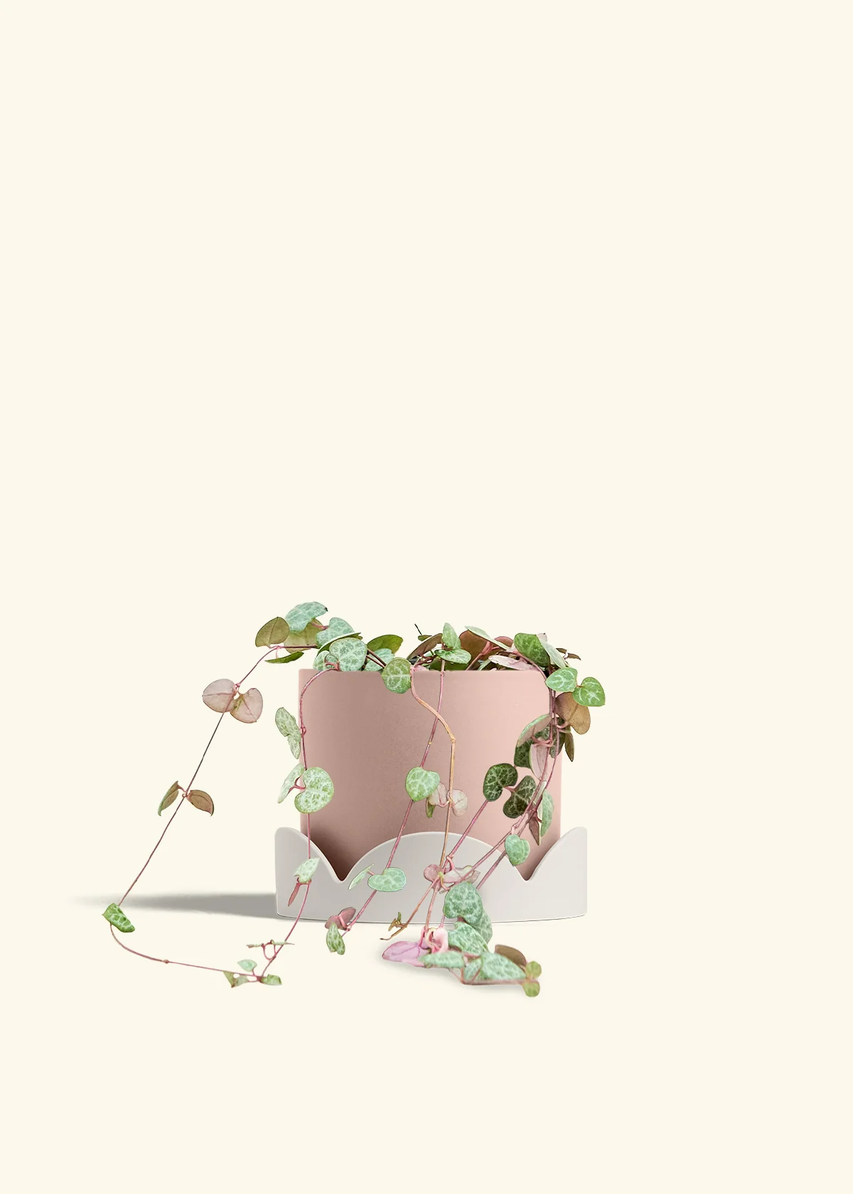 String of Hearts, Medium - Image 26