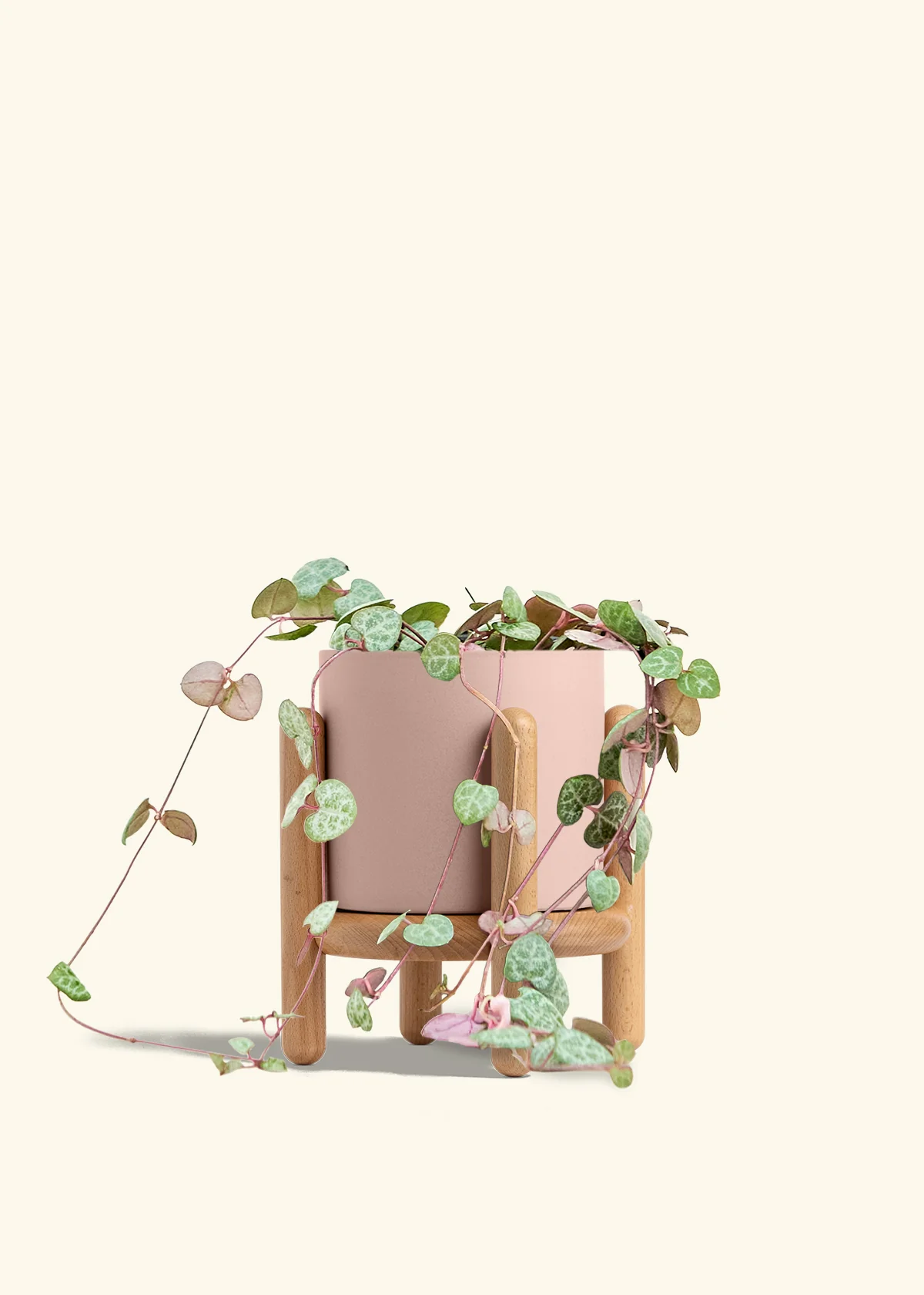 String of Hearts, Medium - Image 27