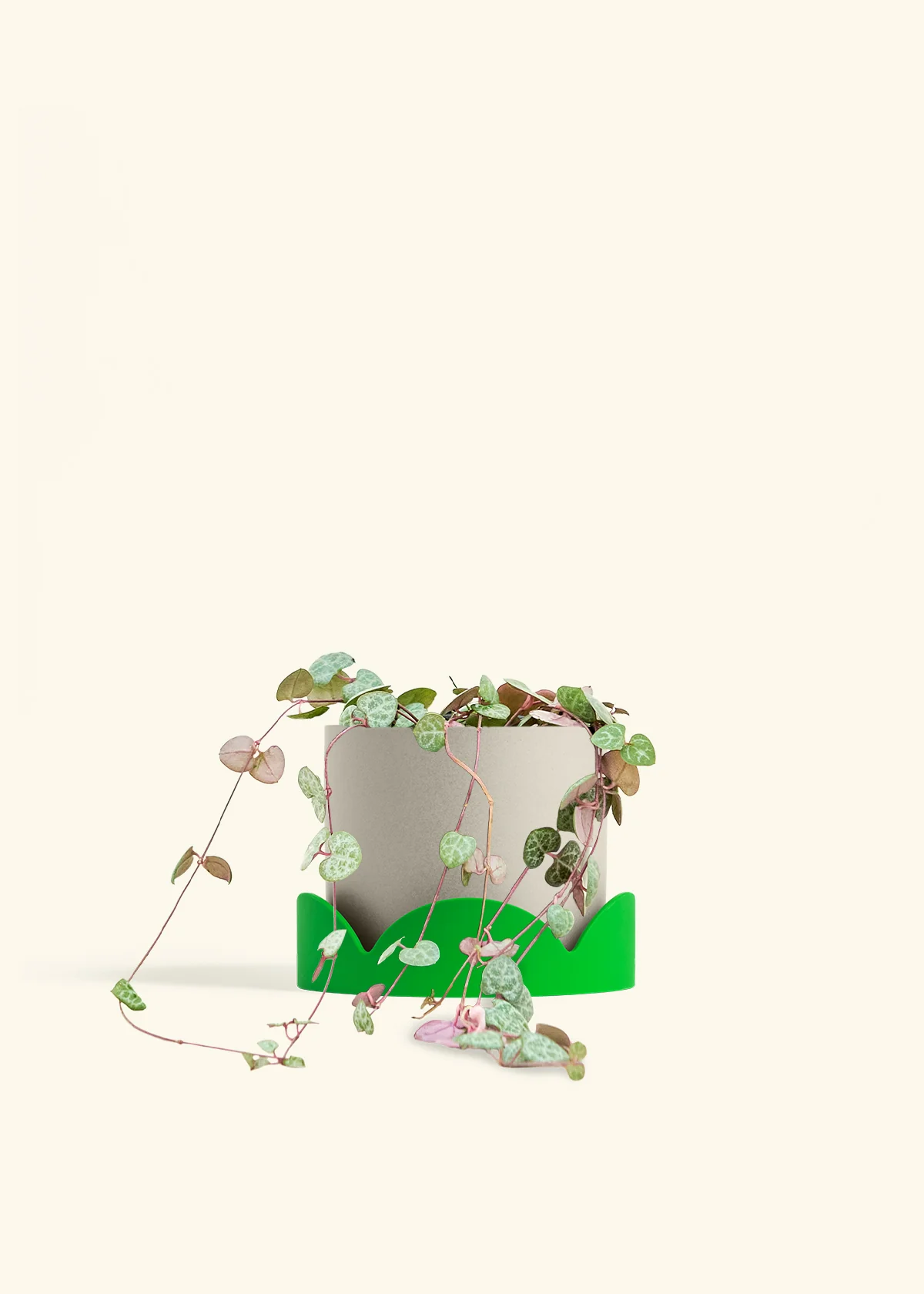 String of Hearts, Medium - Image 33