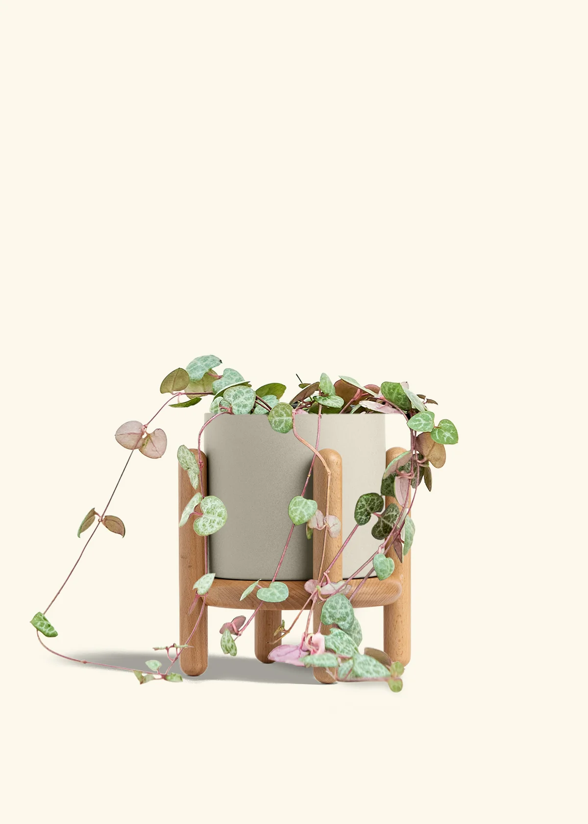 String of Hearts, Medium - Image 35