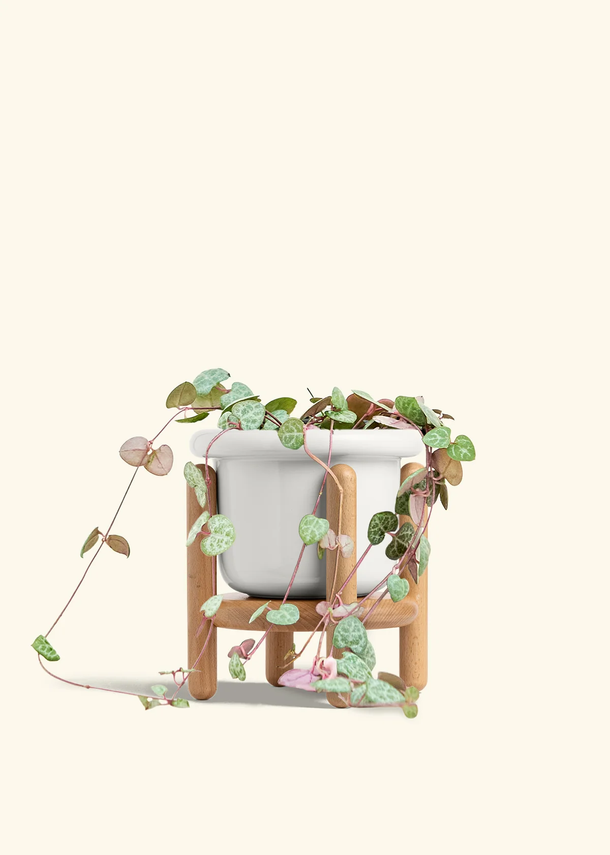 String of Hearts, Medium - Image 7