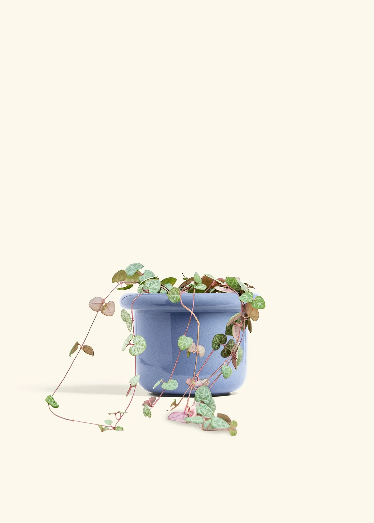 String of Hearts, Medium - Image 8